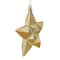 12ct. 5" Glitter & Matte Vegas Gold Shatterproof Christmas Star Ornaments
